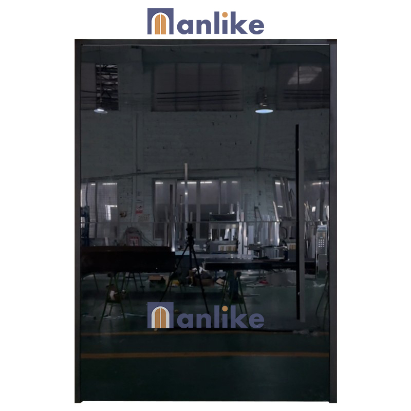 Aluminum Black Glass door