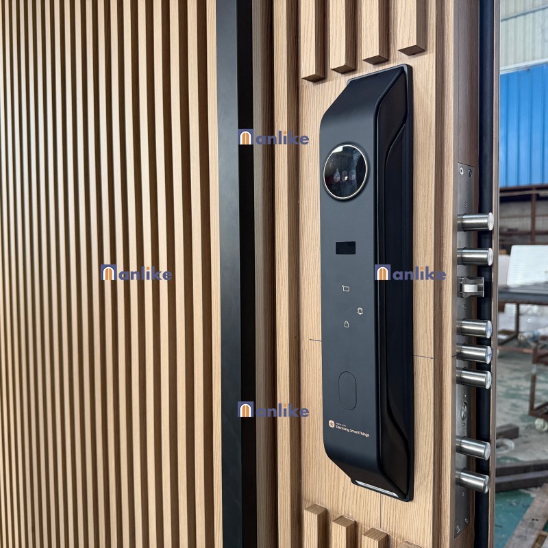exterior aluminium door supplier for USA residential projects